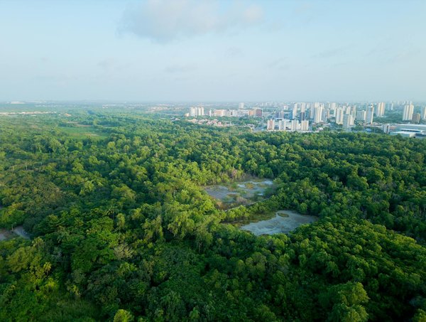 Faits Divers : L'Impact Controversé des Médias sur l'Actualité