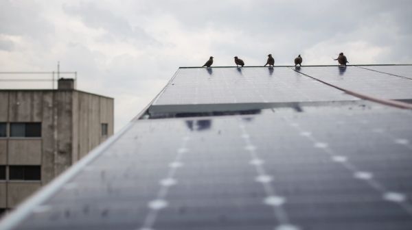 Top 5 astuces pour sélectionner un panneau solaire durable